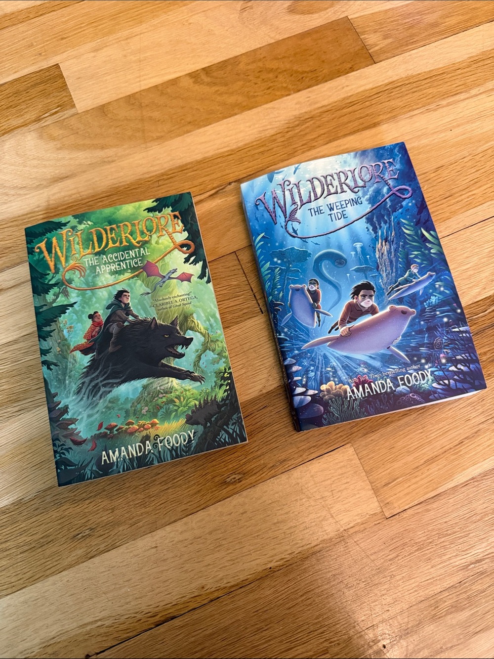 Never been Read Wilderlore Book Set by Amanda Foody - Books #1 & #2